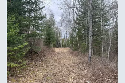 31938 E Gunn Lake Trail, Marcell, MN 56657 - Photo 6