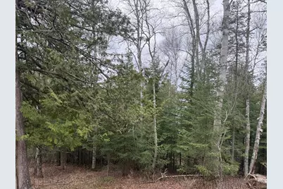 31938 E Gunn Lake Trail, Marcell, MN 56657 - Photo 22
