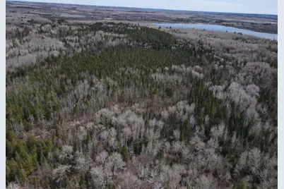 Tbd Co Rd 40, Effie, MN 56639 - Photo 10