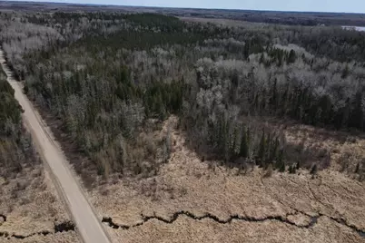 Tbd Co Rd 40, Effie, MN 56639 - Photo 6