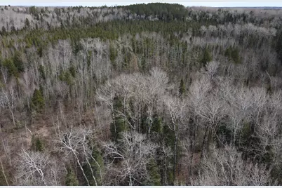 Tbd Co Rd 40, Effie, MN 56639 - Photo 20