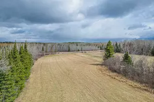 11448 Hwy 22, Angora, MN 55703 - Photo 22