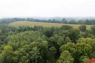 Tbd (Lot 3) Goat Back Rd, Pepin, WI 54759 - Photo 1