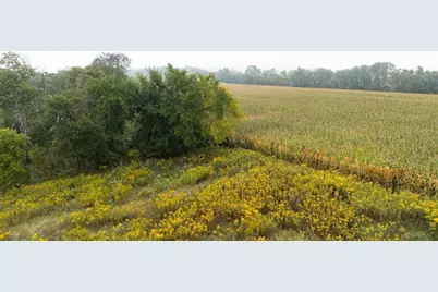 Tbd (Lot  2) Goat Back Road, Pepin, WI 54759 - Photo 1