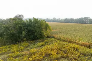 Tbd (Lot 2) Goat Back Rd, Pepin, WI 54759 - Photo 1