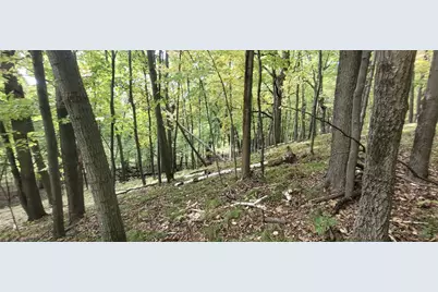 193Xx N Newgate Avenue, Marine on Saint Croix, MN 55047 - Photo 16