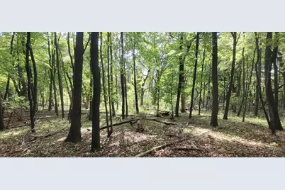 193Xx N Newgate Avenue, Marine on Saint Croix, MN 55047 - Photo 18