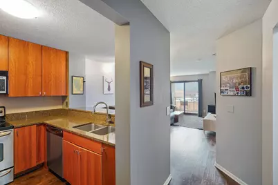 401 S 1st St #603, Minneapolis, MN 55401 - Photo 10