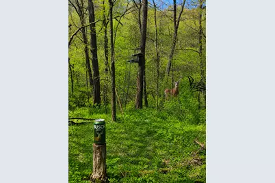 24141 Homer Valley Road, Winona, MN 55987 - Photo 22