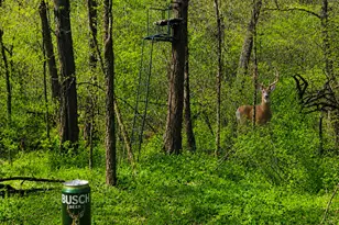 24141 Homer Valley Rd, Winona, MN 55987 - Photo 22