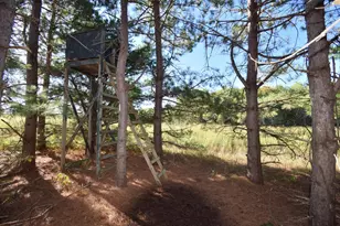 4899 Co Rd A, Webster, WI 54893 - Photo 44