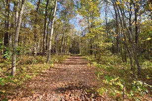 4899 Co Rd A, Webster, WI 54893 - Photo 46