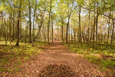 4899 County Road A, Webster, WI 54893 - Photo 48