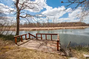39511 460th Ave, Perham, MN 56573 - Photo 16