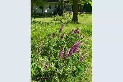 39511 460th Avenue, Perham, MN 56573 - Photo 10