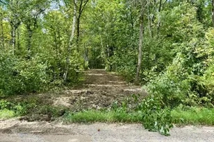 Tbd N Courage Dr (Lot16), Lake George Township, MN 56458 - Photo 1