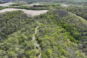24020 Cty Rd 17, Winona, MN 55987 - Photo 122