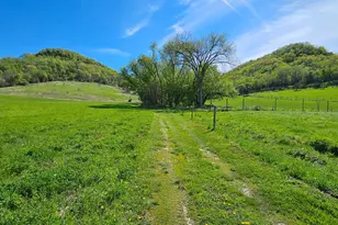 24020 Cty Rd 17, Winona, MN 55987 - Photo 136