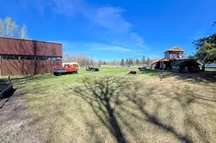 17801 Bear Creek, Angle Inlet, MN 56711 - Photo 8