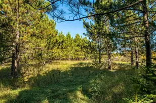 24058 County 2, Shevlin, MN 56676 - Photo 126