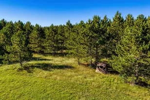 24058 County 2, Shevlin, MN 56676 - Photo 110