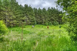 24058 County 2, Shevlin, MN 56676 - Photo 62