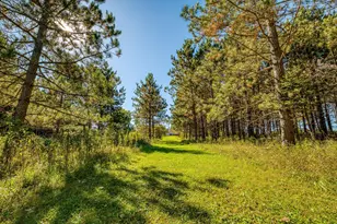 24058 County 2, Shevlin, MN 56676 - Photo 128