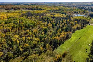 24058 County 2, Shevlin, MN 56676 - Photo 112