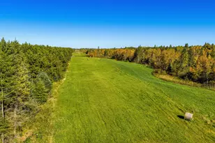 24058 County 2, Shevlin, MN 56676 - Photo 108
