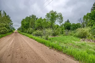24058 County 2, Shevlin, MN 56676 - Photo 90
