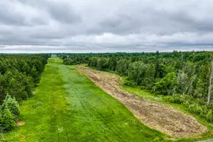 24058 County 2, Shevlin, MN 56676 - Photo 38