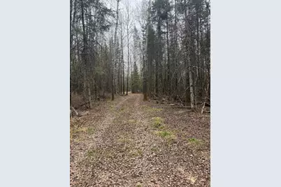 3426 Highway 53, Eveleth, MN 55734 - Photo 24