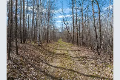 Tbd Richmond Road SW, Pillager, MN 56473 - Photo 10