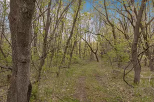 1850 Beauty Point Rd SW, Farwell, MN 56327 - Photo 86