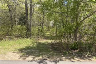 24175 White Pine Dr, Nisswa, MN 56468 - Photo 50