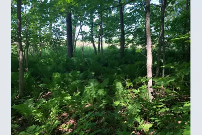 Tbd 388th St, Onamia, MN 56359 - Photo 8