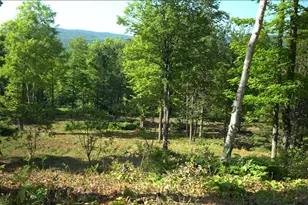 83Xxx - Lot 12 Ashwabay Rd, Bayfield, WI 54814 - Photo 6