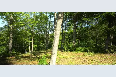 83Xxx - Lot 12 Ashwabay Road, Bayfield, WI 54814 - Photo 10