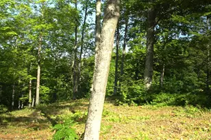 83Xxx - Lot 12 Ashwabay Rd, Bayfield, WI 54814 - Photo 10