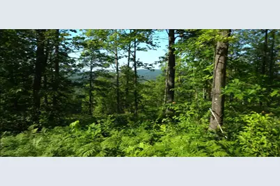 83Xxx - Lot 12 Ashwabay Road, Bayfield, WI 54814 - Photo 4