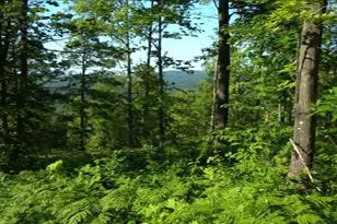 83Xxx - Lot 12 Ashwabay Rd, Bayfield, WI 54814 - Photo 4
