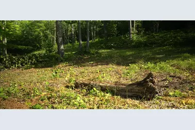 83Xxx - Lot 12 Ashwabay Road, Bayfield, WI 54814 - Photo 8