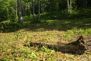 83Xxx - Lot 12 Ashwabay Rd, Bayfield, WI 54814 - Photo 8