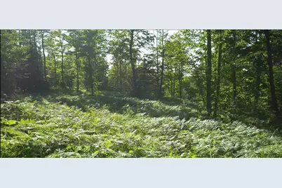 83Xxx - Lot 12 Ashwabay Road, Bayfield, WI 54814 - Photo 2