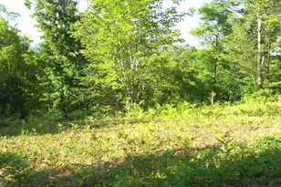 83Xxx - Lot 13 Ashwabay Rd, Bayfield, WI 54814 - Photo 2