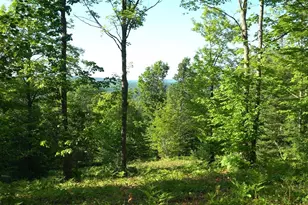 83Xxx - Lot 13 Ashwabay Rd, Bayfield, WI 54814 - Photo 1