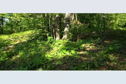 83Xxx - Lot 13 Ashwabay Road, Bayfield, WI 54814 - Photo 10