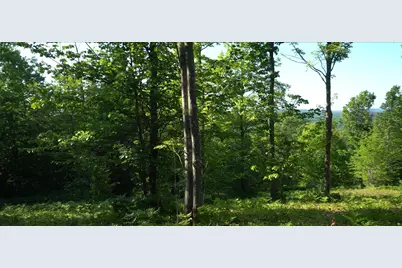 83Xxx - Lot 13 Ashwabay Road, Bayfield, WI 54814 - Photo 6