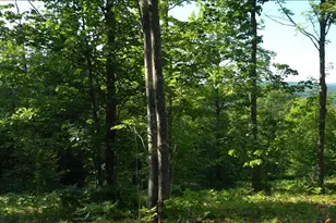 83Xxx - Lot 13 Ashwabay Rd, Bayfield, WI 54814 - Photo 6
