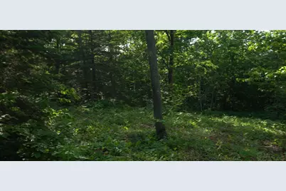 83Xxx - Lot 13 Ashwabay Road, Bayfield, WI 54814 - Photo 8